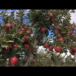 Meet your Posher, Mechelle